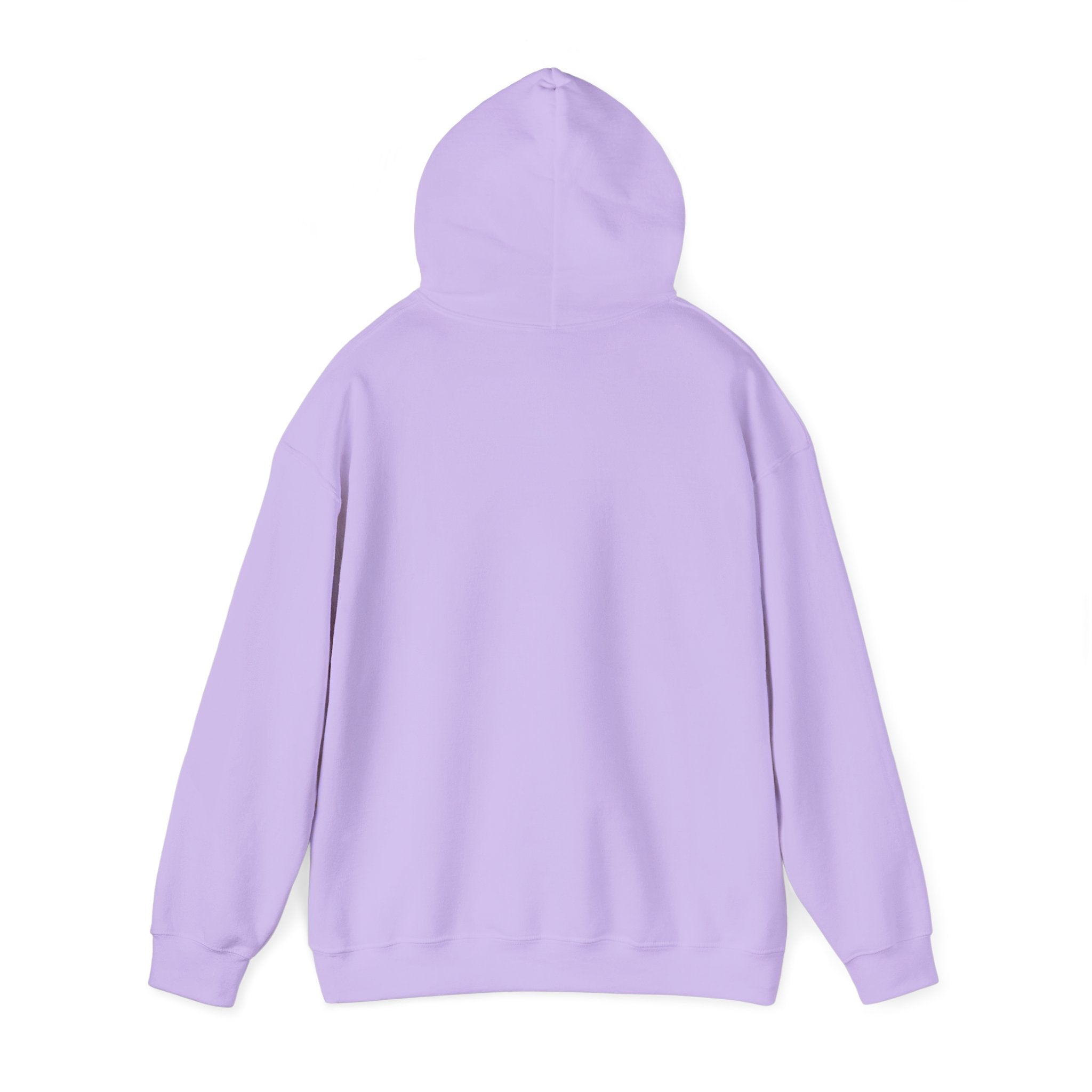 Anxiety University Hoodie — 'Anxiety University Honors Program' Graphic Sweatshirt