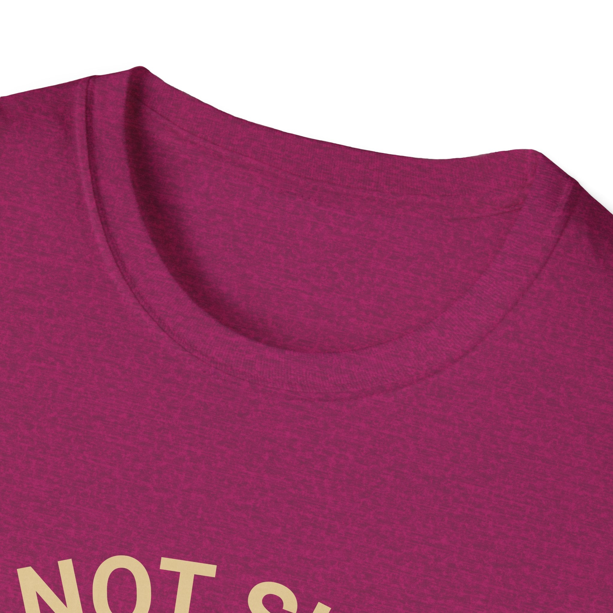 I’m Not Single I Have A Dog T-Shirt — Retro Sunset Dog Lover Tee