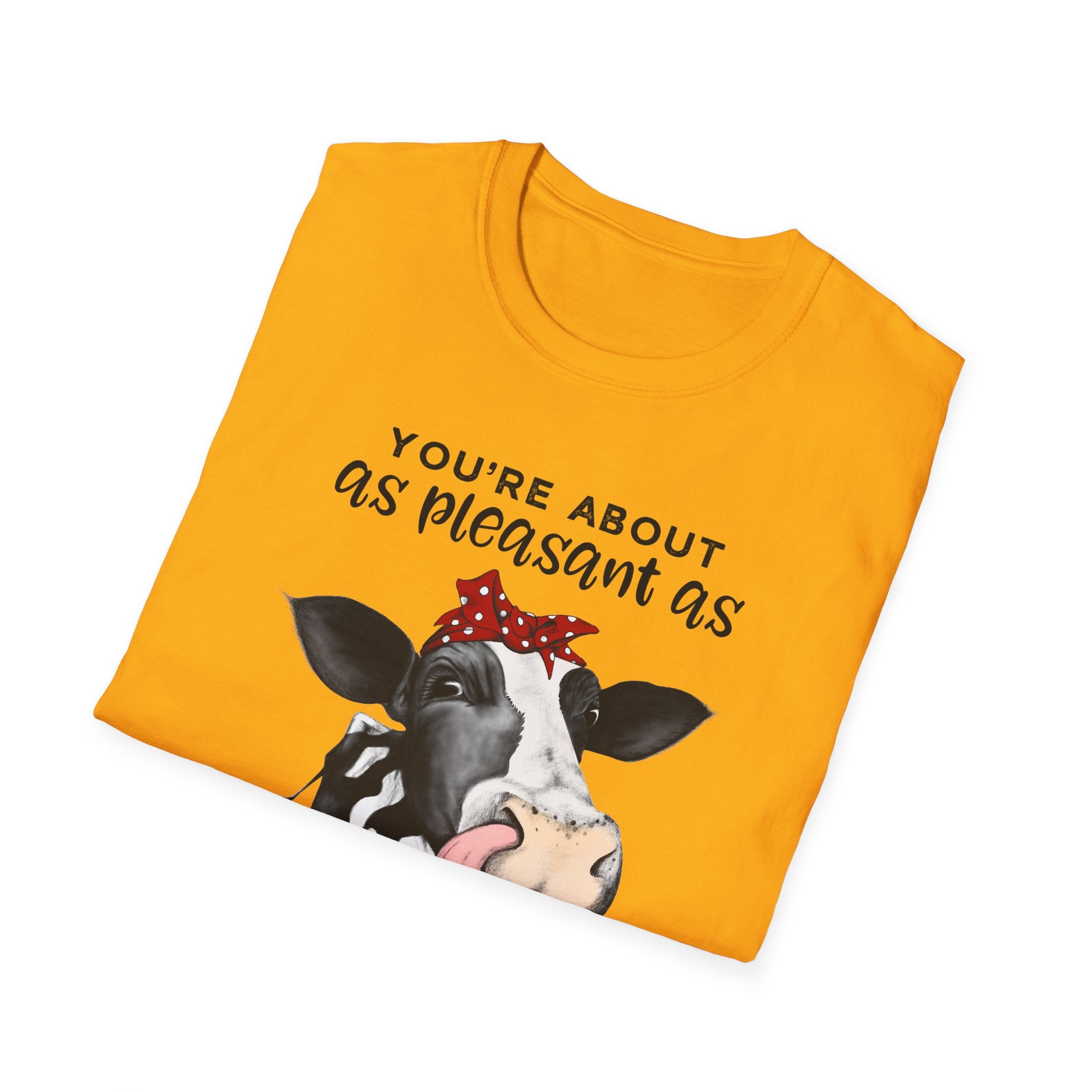 Cow Graphic Tee — "You’re About as Pleasant as an Itchy Butthole" Funny Novelty T‑Shirt