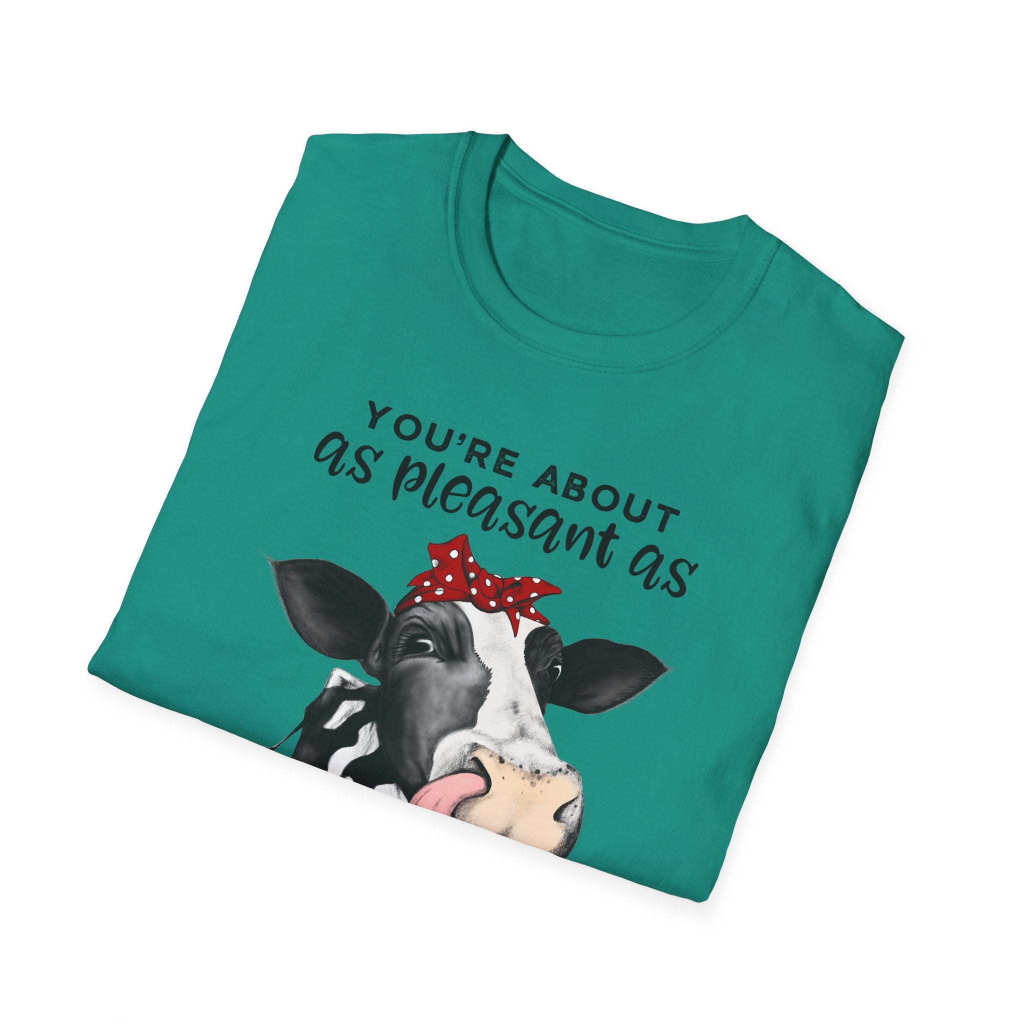 Cow Graphic Tee — "You’re About as Pleasant as an Itchy Butthole" Funny Novelty T‑Shirt