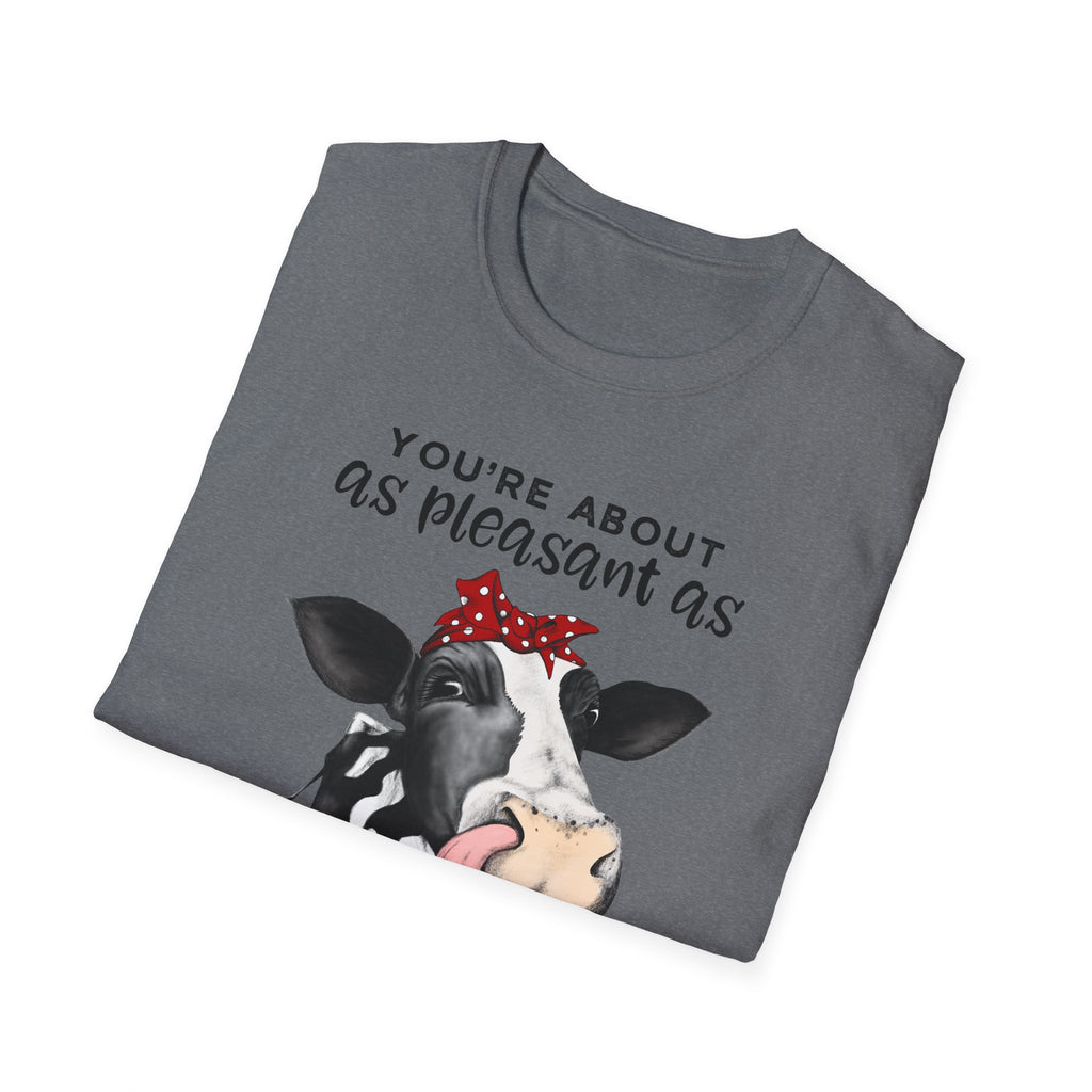 Cow Graphic Tee — "You’re About as Pleasant as an Itchy Butthole" Funny Novelty T‑Shirt