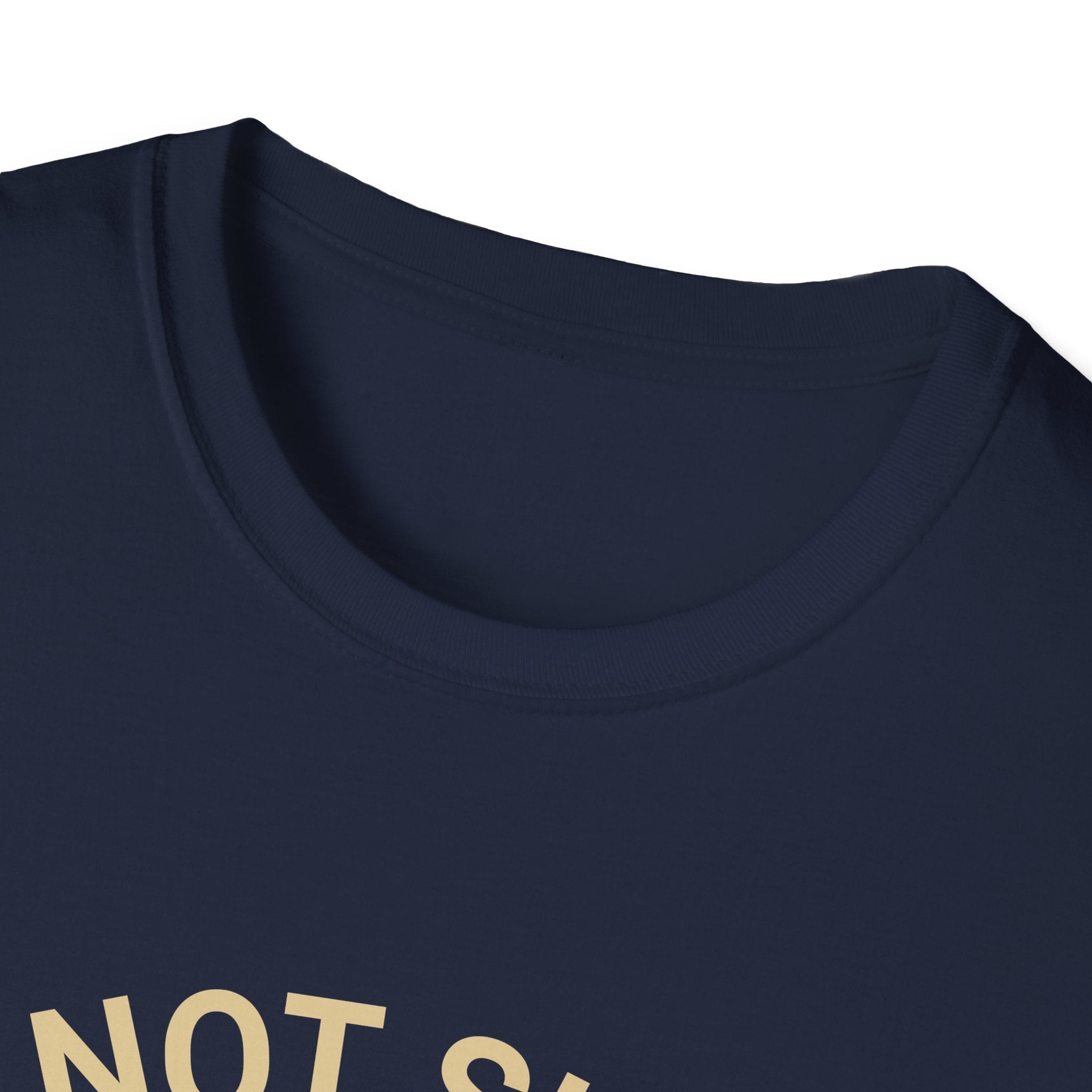 I’m Not Single I Have A Dog T-Shirt — Retro Sunset Dog Lover Tee