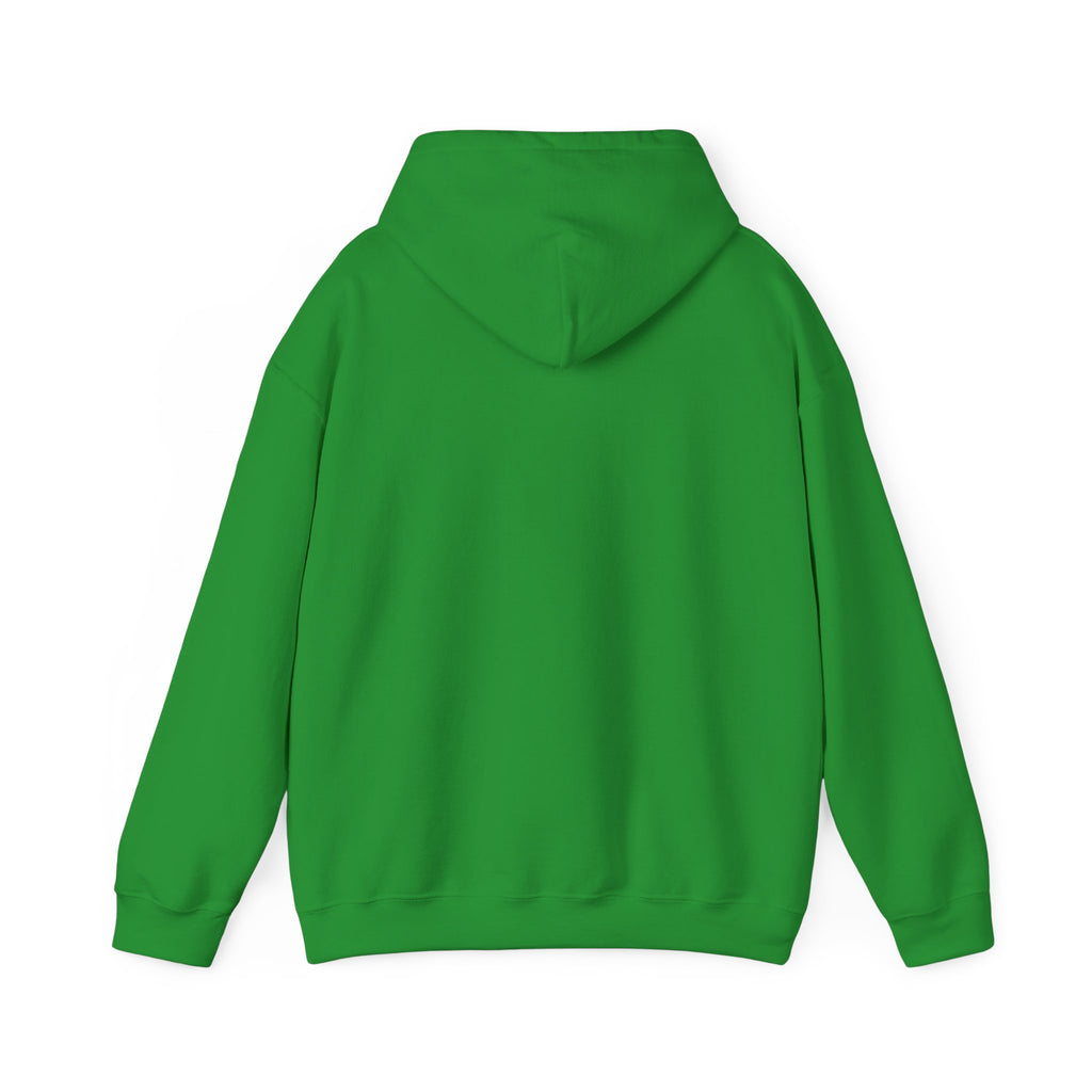 Anxiety University Hoodie — 'Anxiety University Honors Program' Graphic Sweatshirt