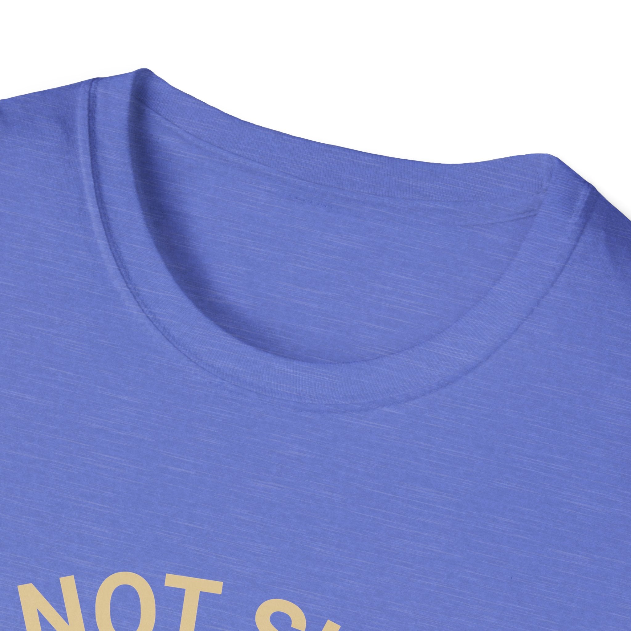 I’m Not Single I Have A Dog T-Shirt — Retro Sunset Dog Lover Tee