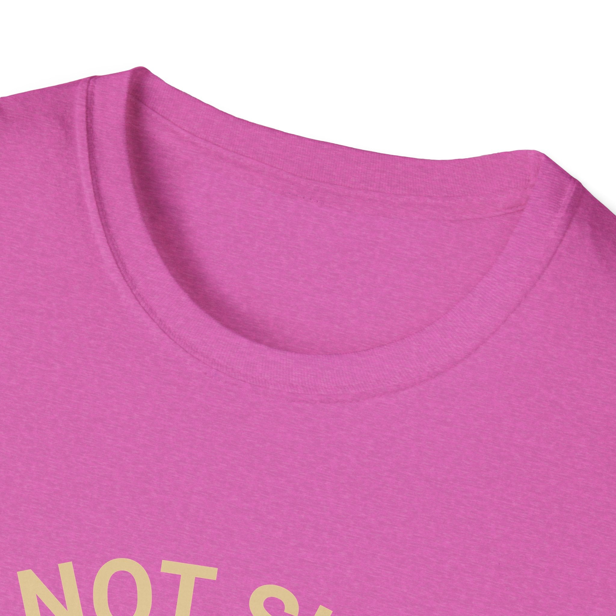 I’m Not Single I Have A Dog T-Shirt — Retro Sunset Dog Lover Tee