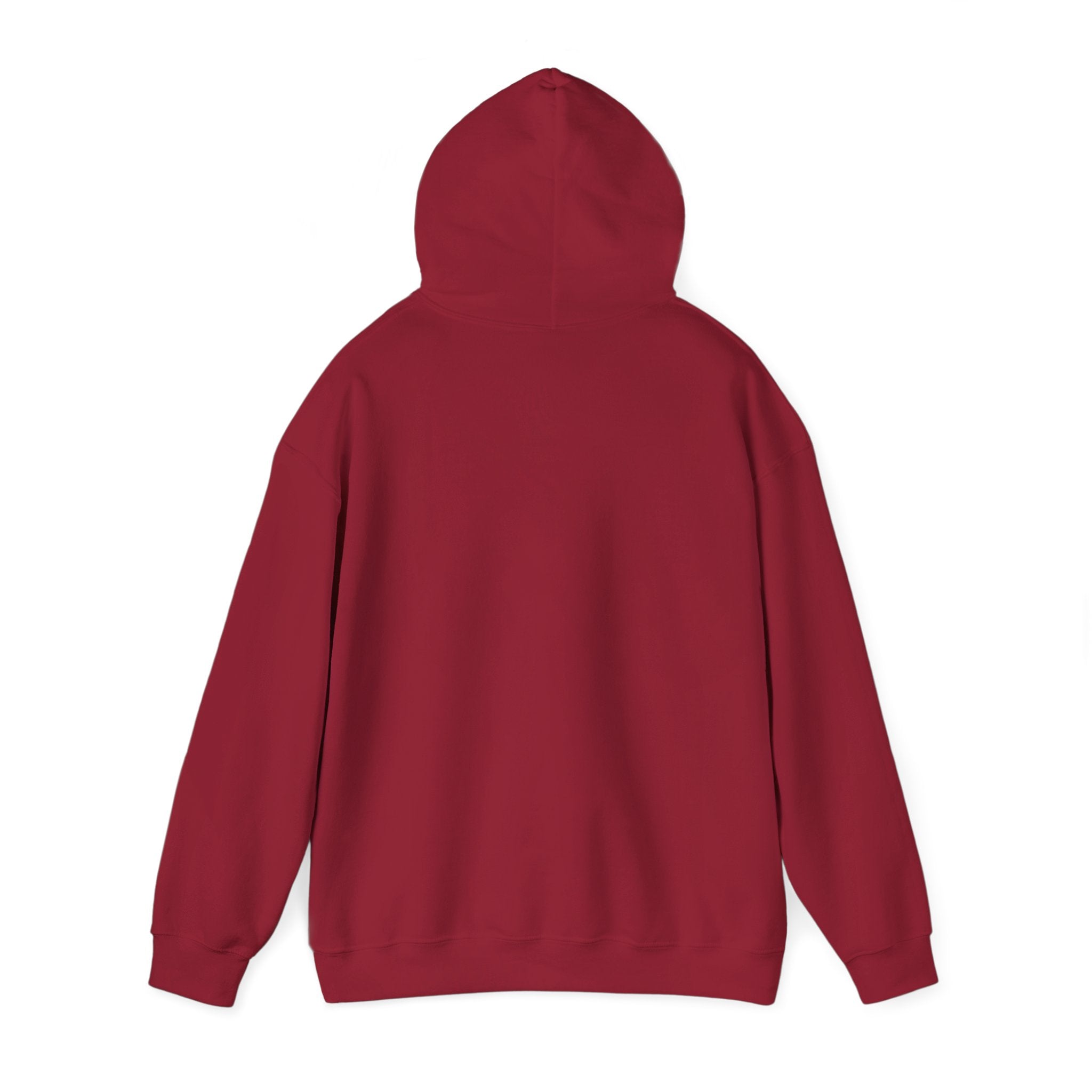 Anxiety University Hoodie — 'Anxiety University Honors Program' Graphic Sweatshirt