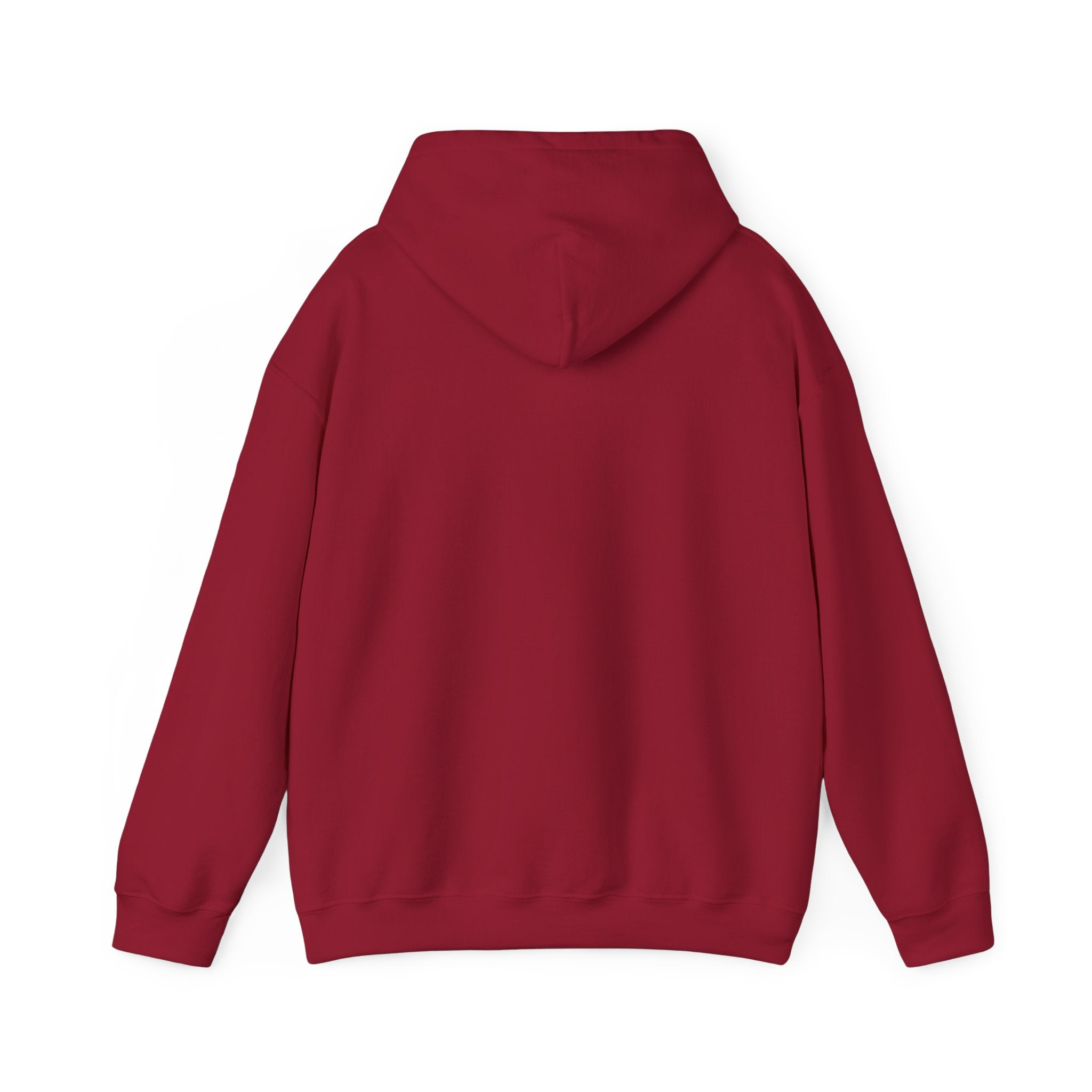 Anxiety University Hoodie — 'Anxiety University Honors Program' Graphic Sweatshirt