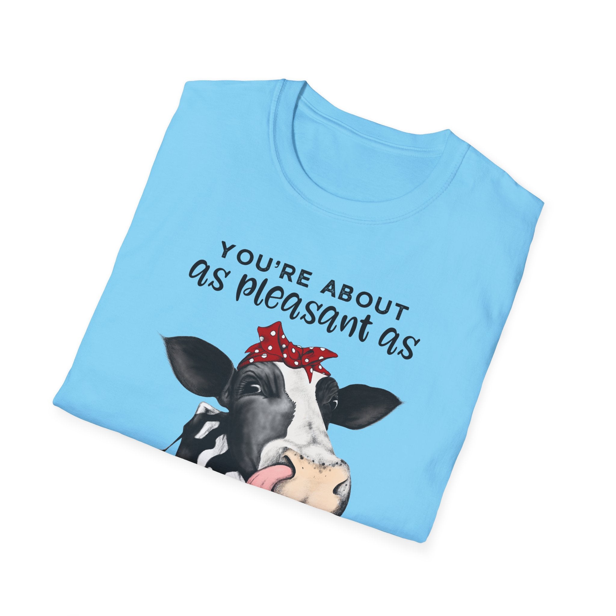 Cow Graphic Tee — "You’re About as Pleasant as an Itchy Butthole" Funny Novelty T‑Shirt
