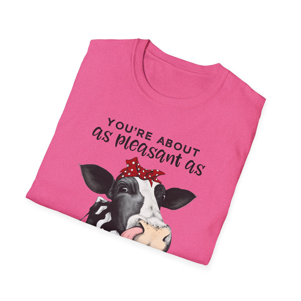 Cow Graphic Tee — "You’re About as Pleasant as an Itchy Butthole" Funny Novelty T‑Shirt