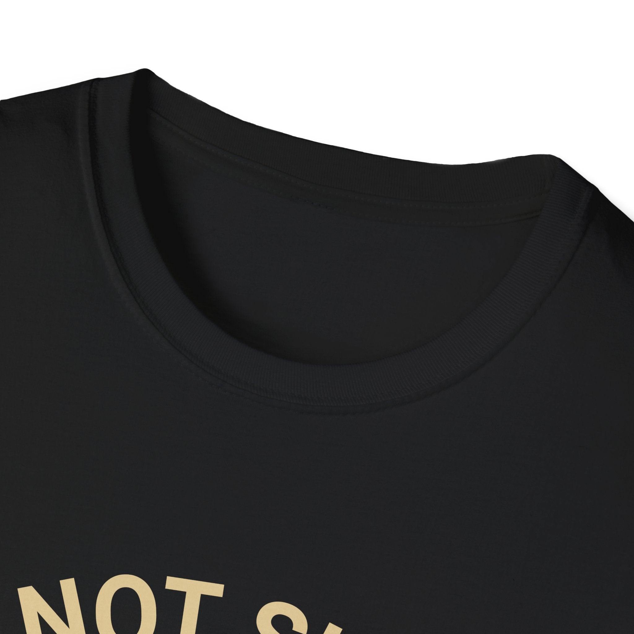 I’m Not Single I Have A Dog T-Shirt — Retro Sunset Dog Lover Tee