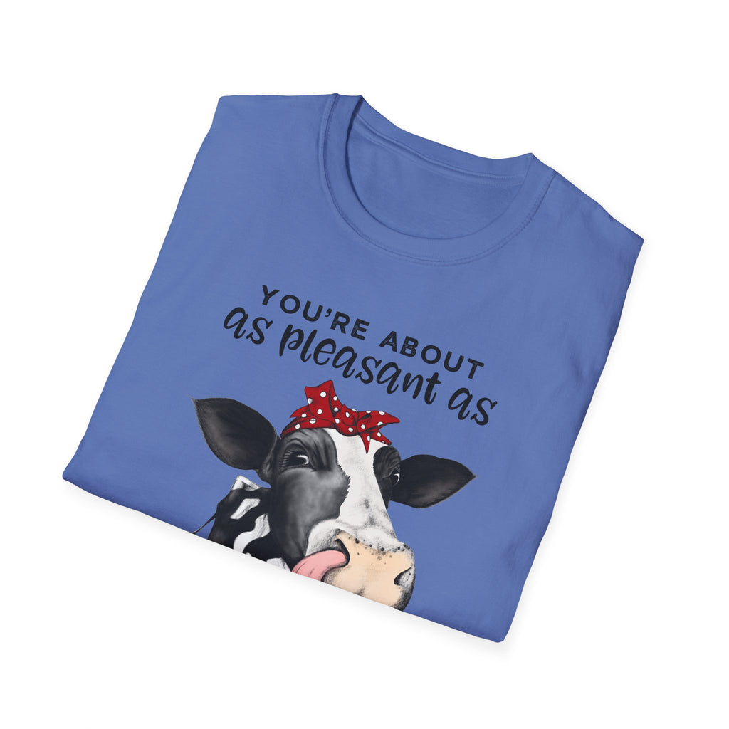Cow Graphic Tee — "You’re About as Pleasant as an Itchy Butthole" Funny Novelty T‑Shirt