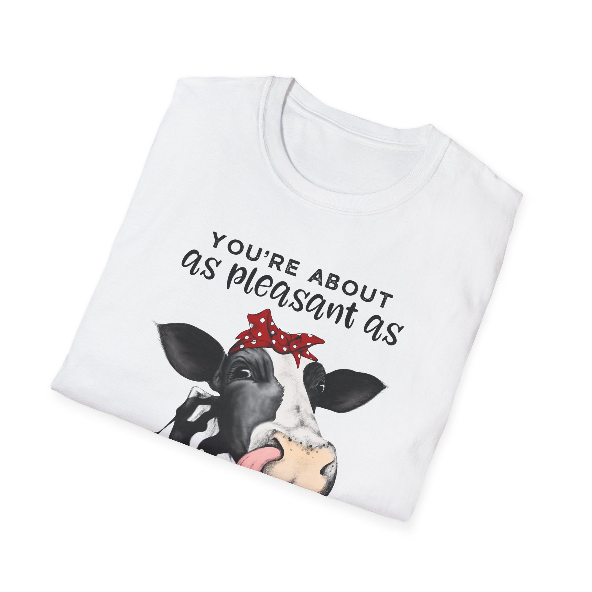 Cow Graphic Tee — "You’re About as Pleasant as an Itchy Butthole" Funny Novelty T‑Shirt