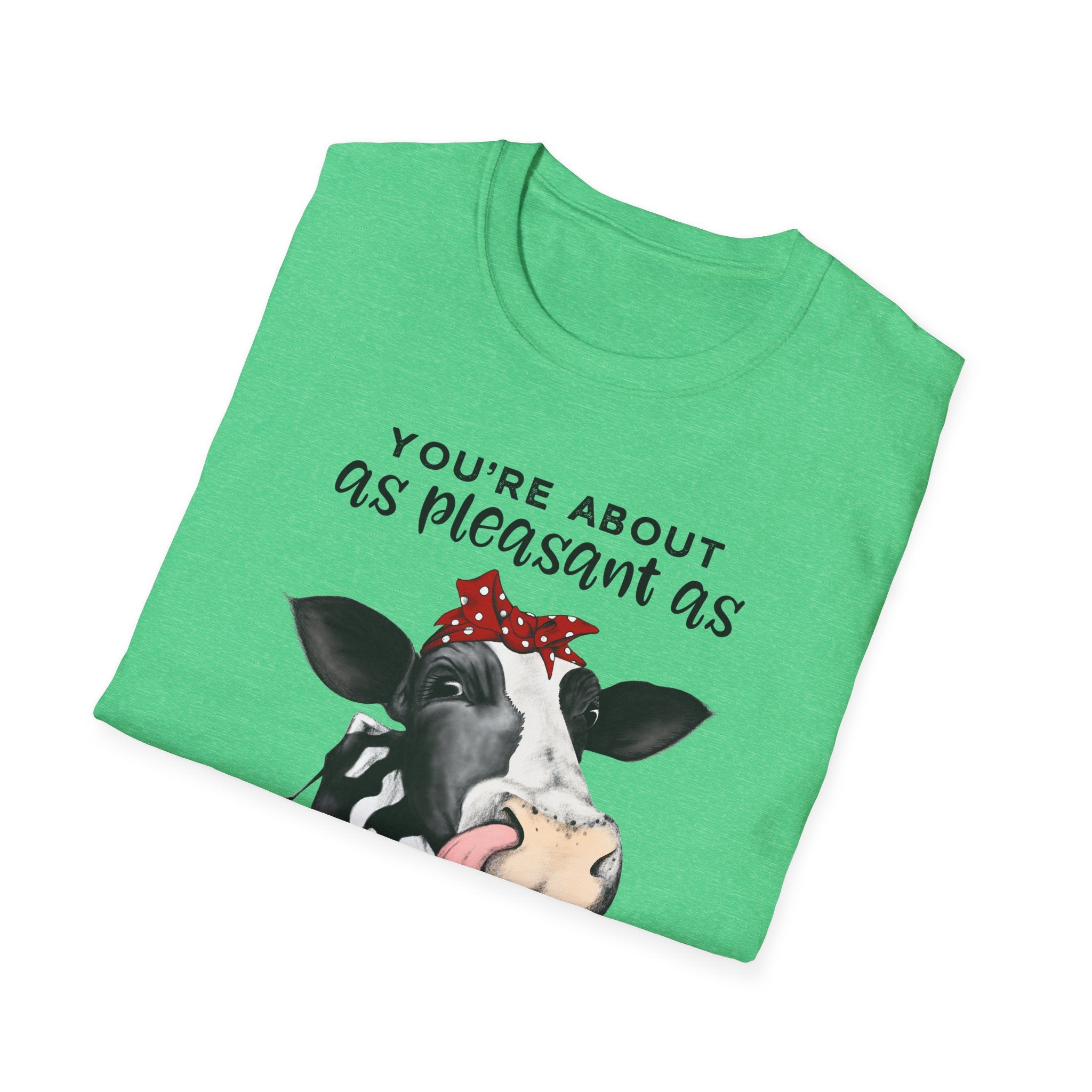 Cow Graphic Tee — "You’re About as Pleasant as an Itchy Butthole" Funny Novelty T‑Shirt