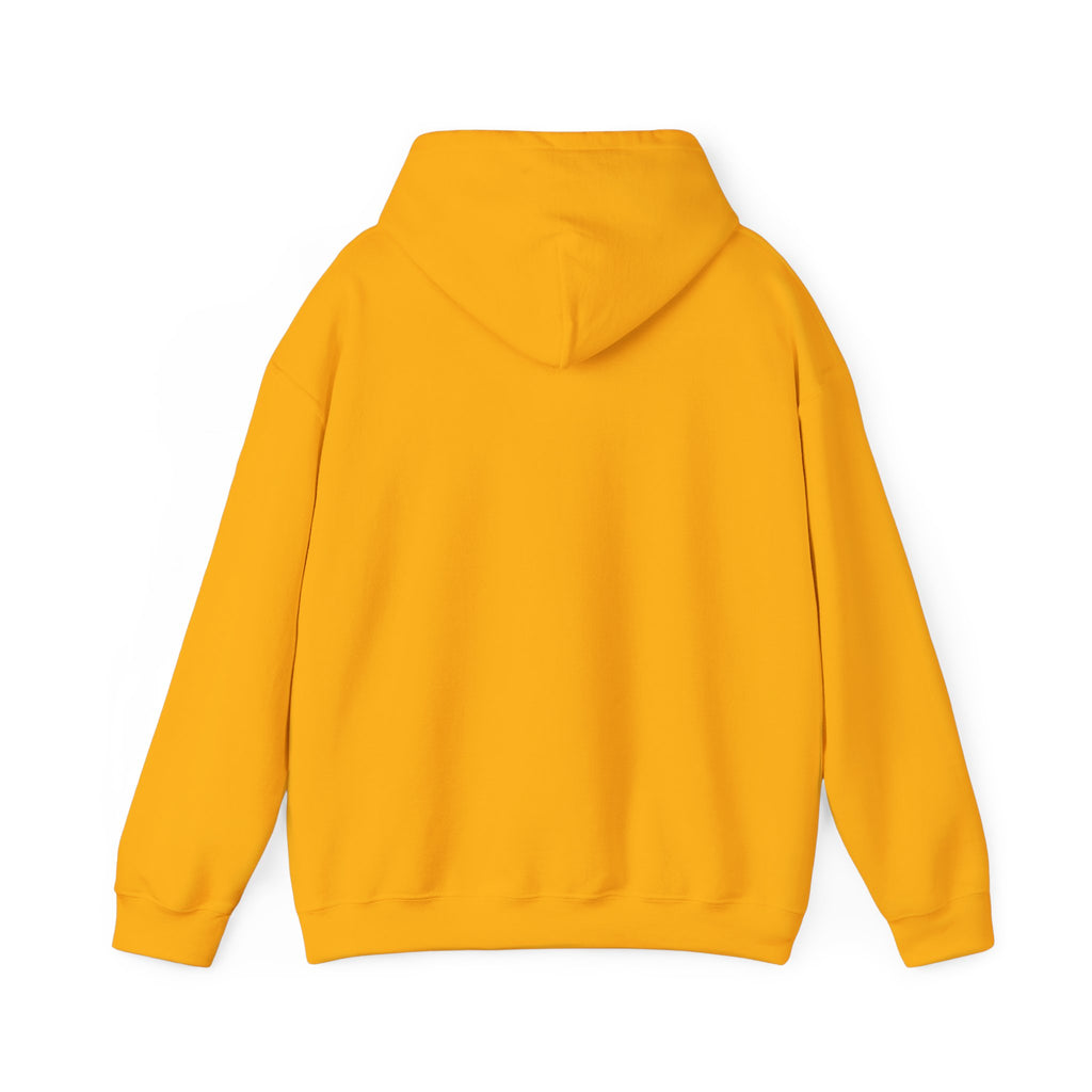 Anxiety University Hoodie — 'Anxiety University Honors Program' Graphic Sweatshirt