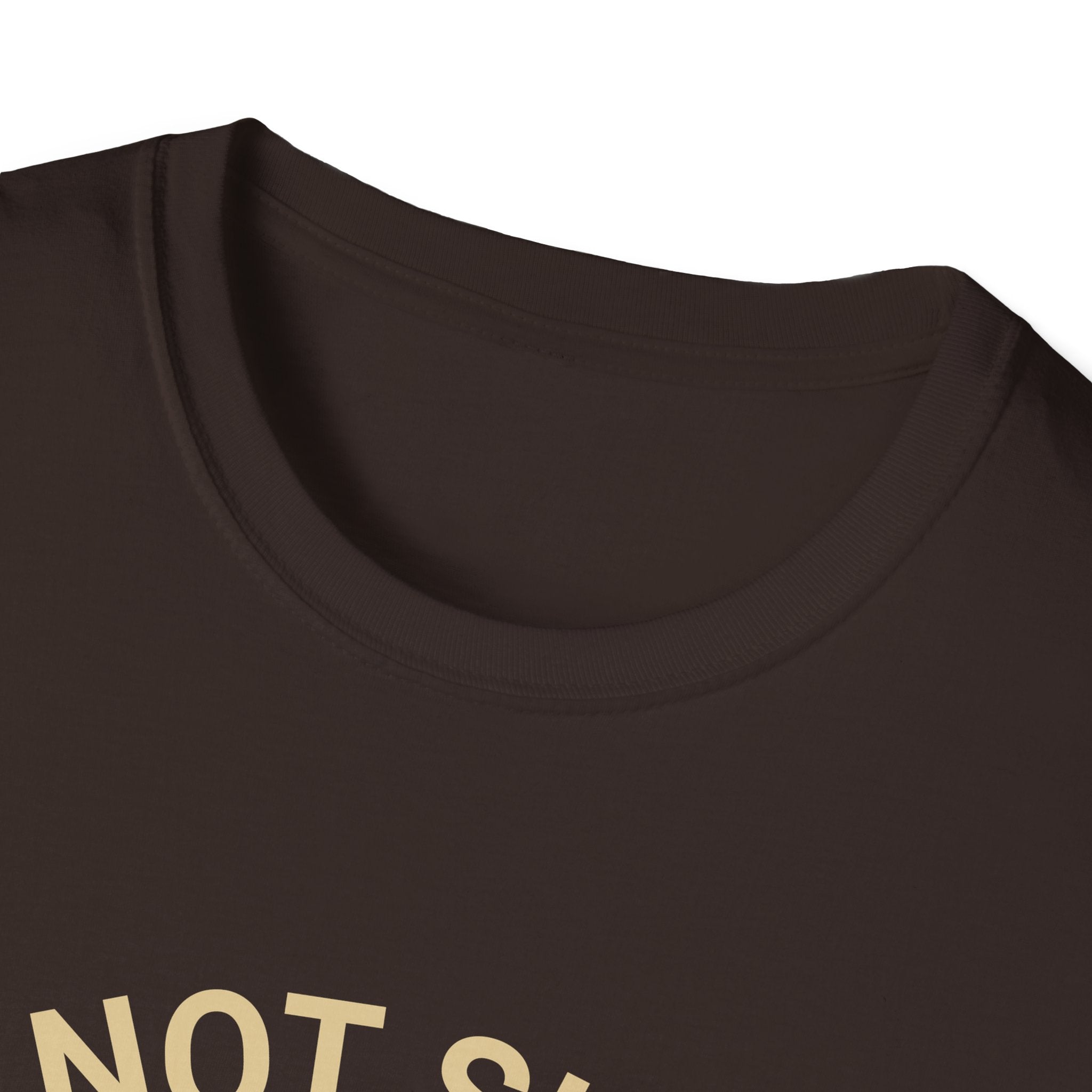 I’m Not Single I Have A Dog T-Shirt — Retro Sunset Dog Lover Tee