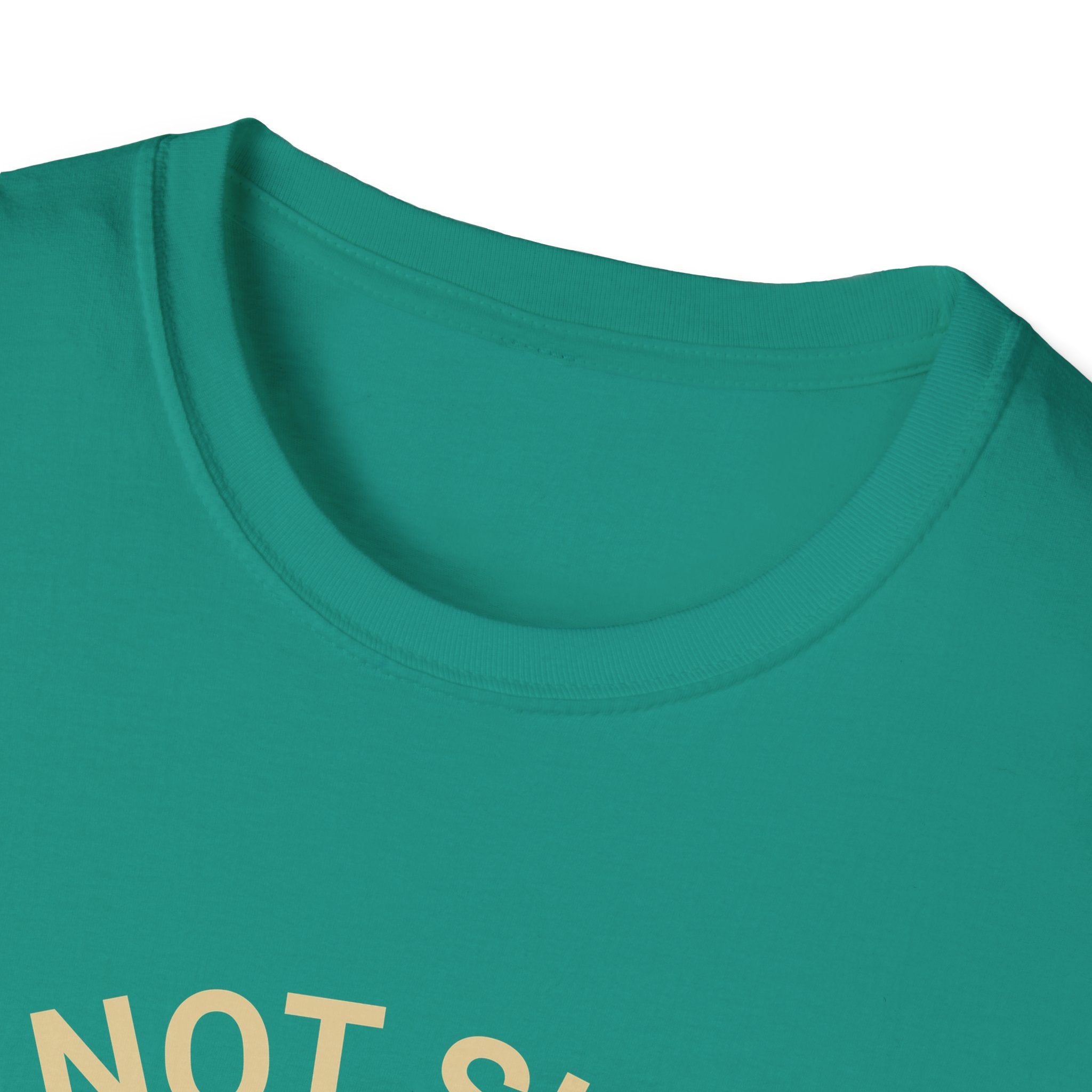 I’m Not Single I Have A Dog T-Shirt — Retro Sunset Dog Lover Tee