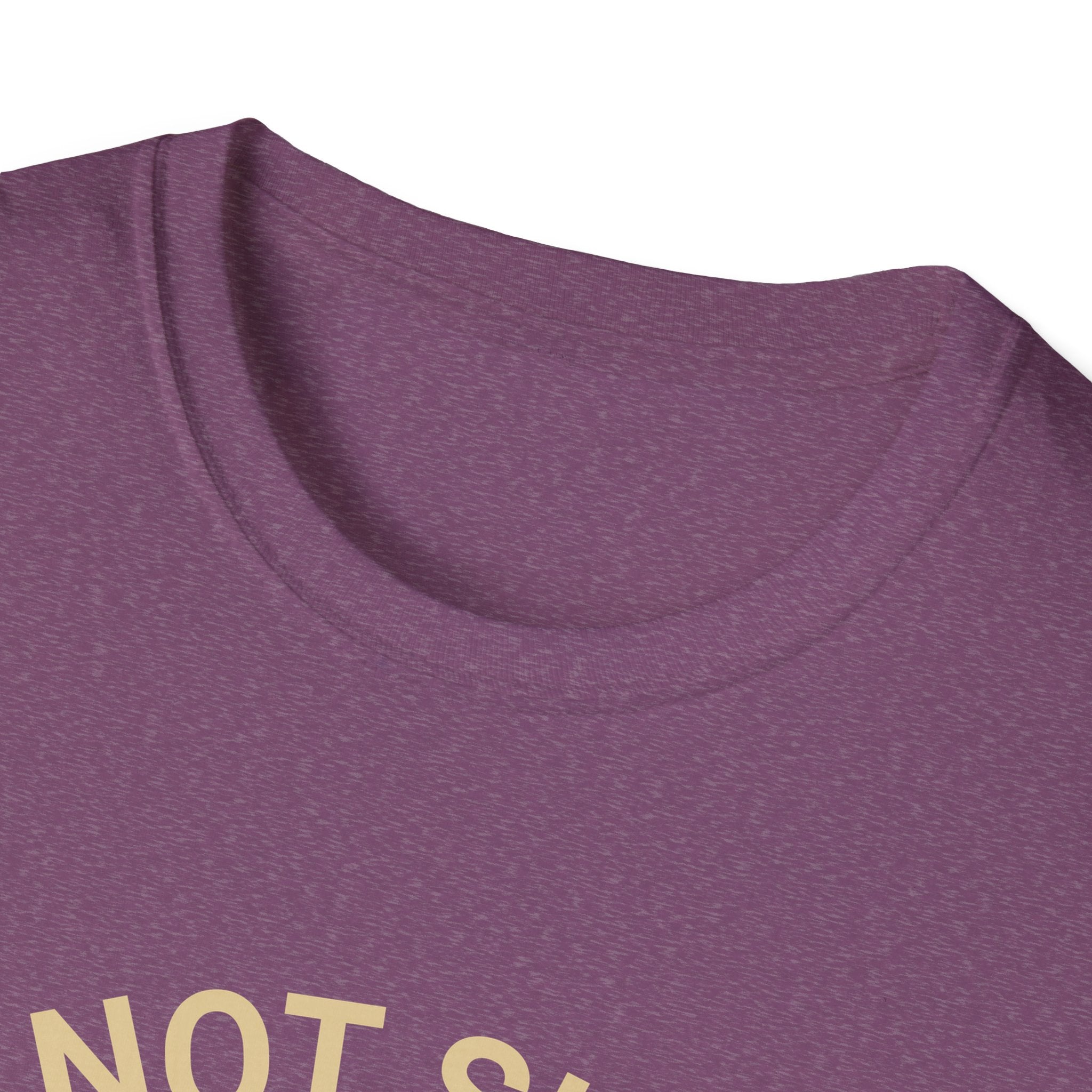 I’m Not Single I Have A Dog T-Shirt — Retro Sunset Dog Lover Tee