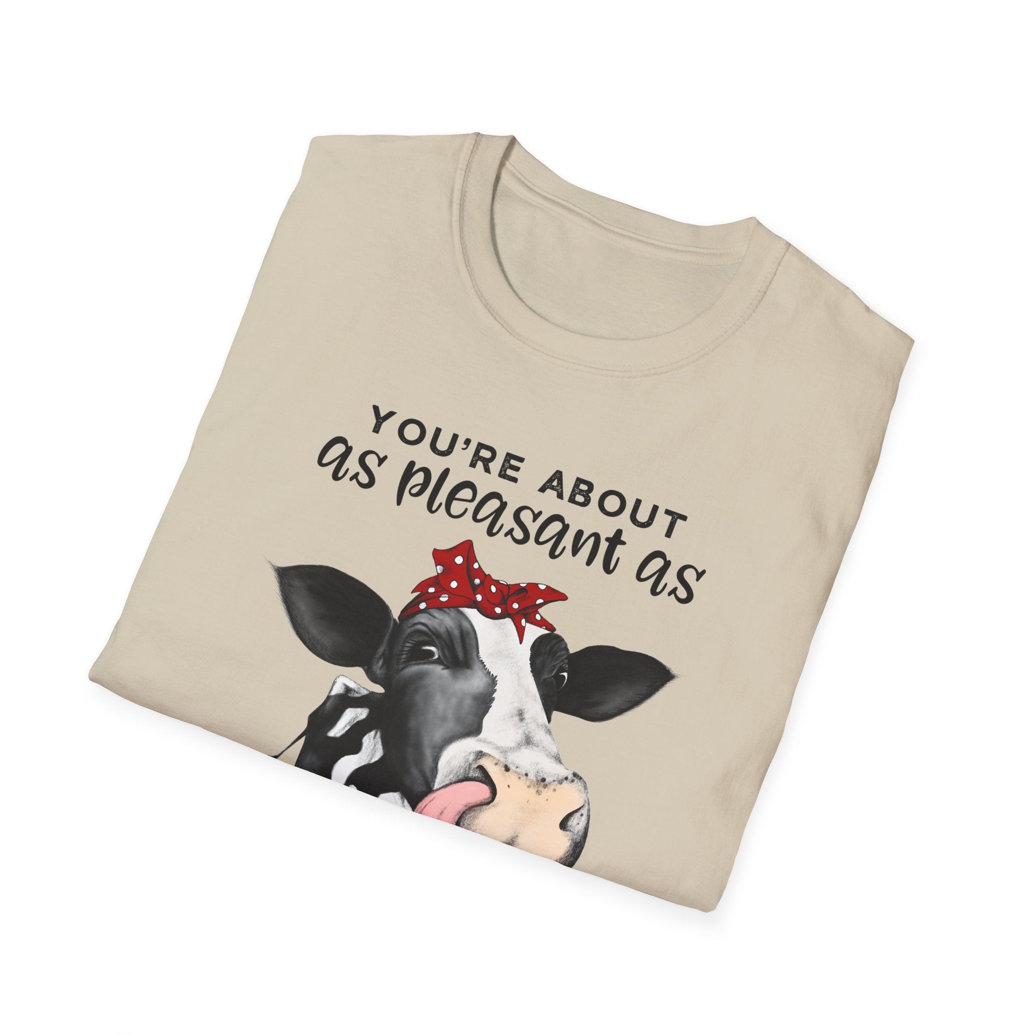 Cow Graphic Tee — "You’re About as Pleasant as an Itchy Butthole" Funny Novelty T‑Shirt