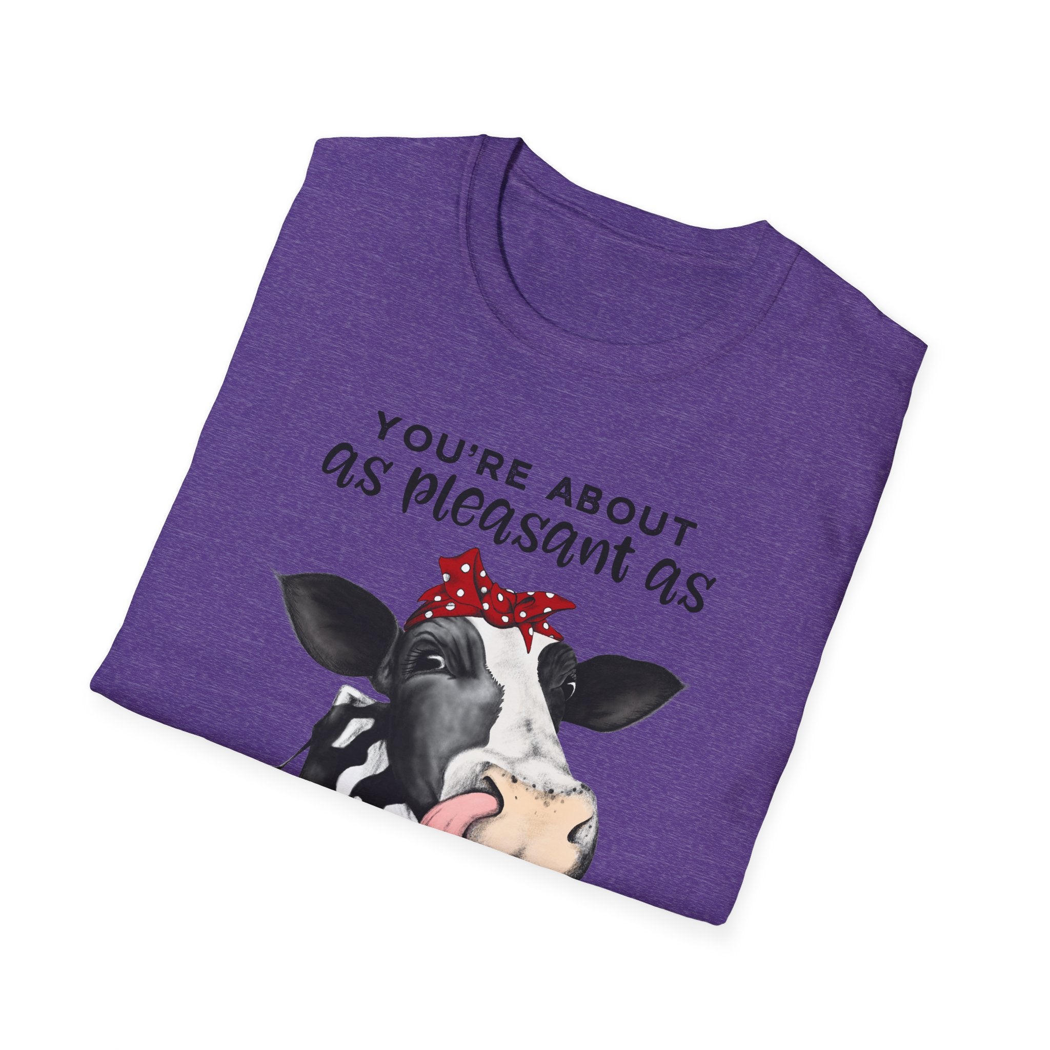 Cow Graphic Tee — "You’re About as Pleasant as an Itchy Butthole" Funny Novelty T‑Shirt