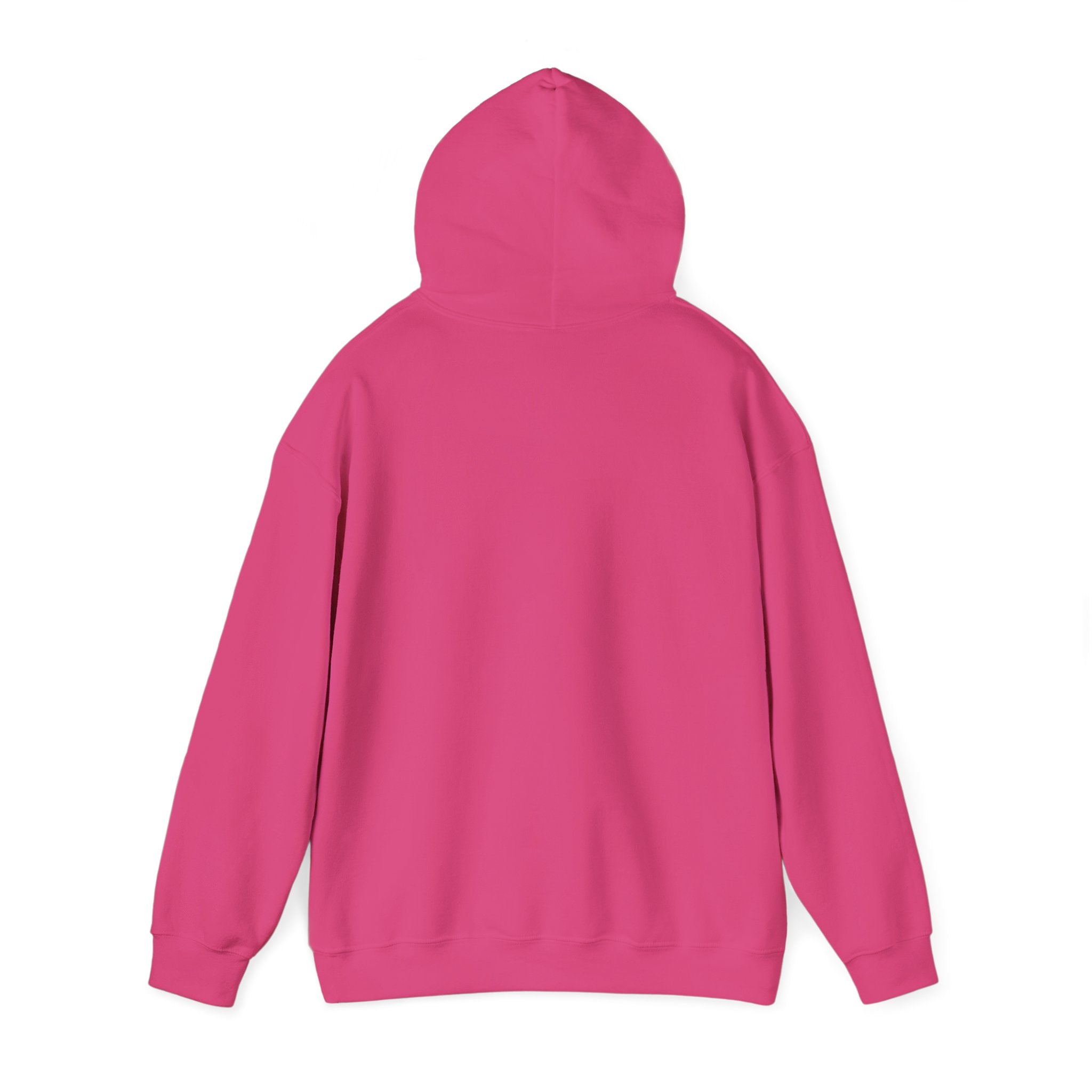 Anxiety University Hoodie — 'Anxiety University Honors Program' Graphic Sweatshirt