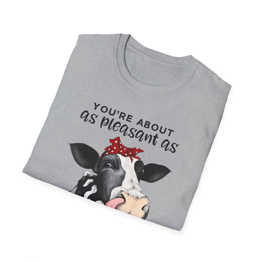 Cow Graphic Tee — "You’re About as Pleasant as an Itchy Butthole" Funny Novelty T‑Shirt