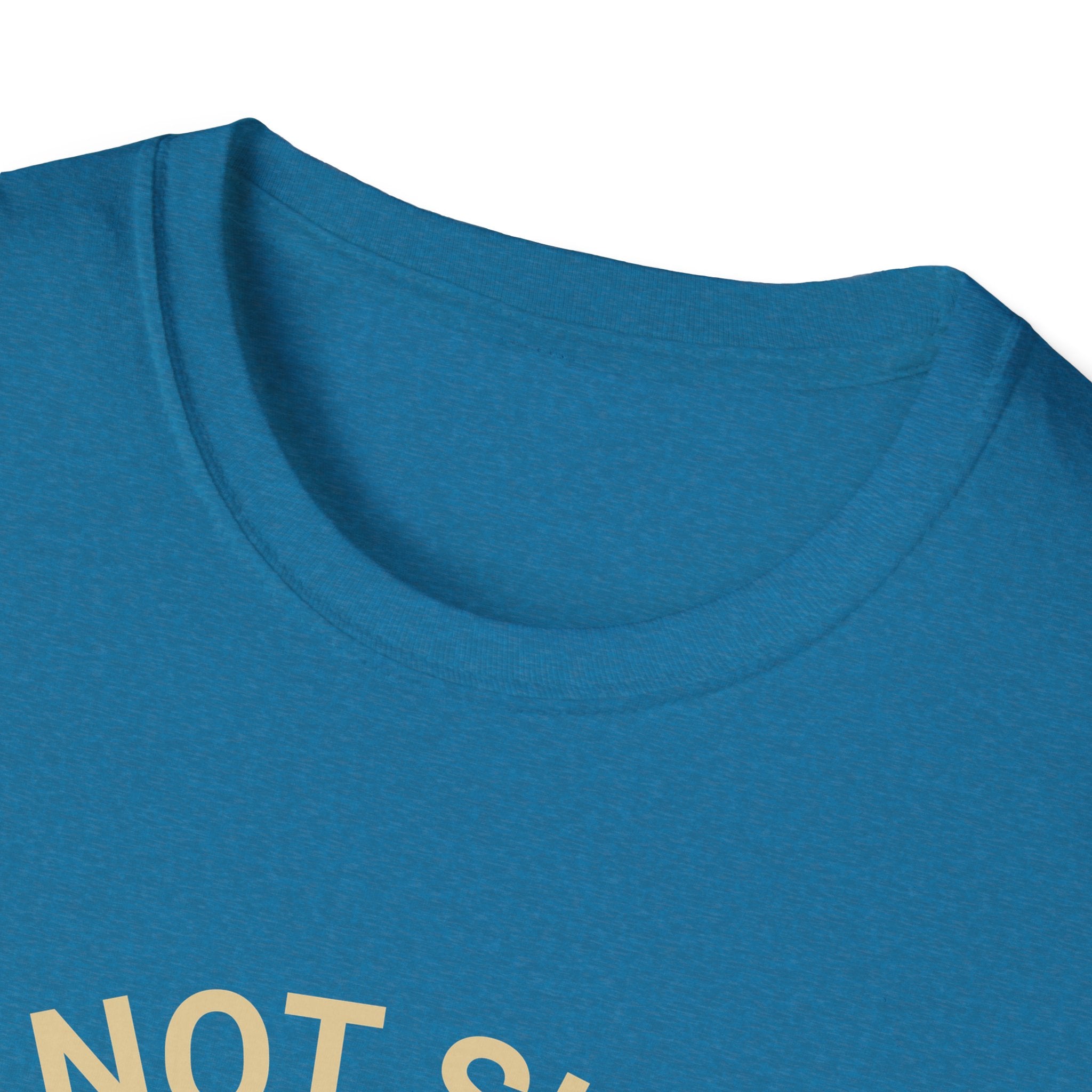 I’m Not Single I Have A Dog T-Shirt — Retro Sunset Dog Lover Tee