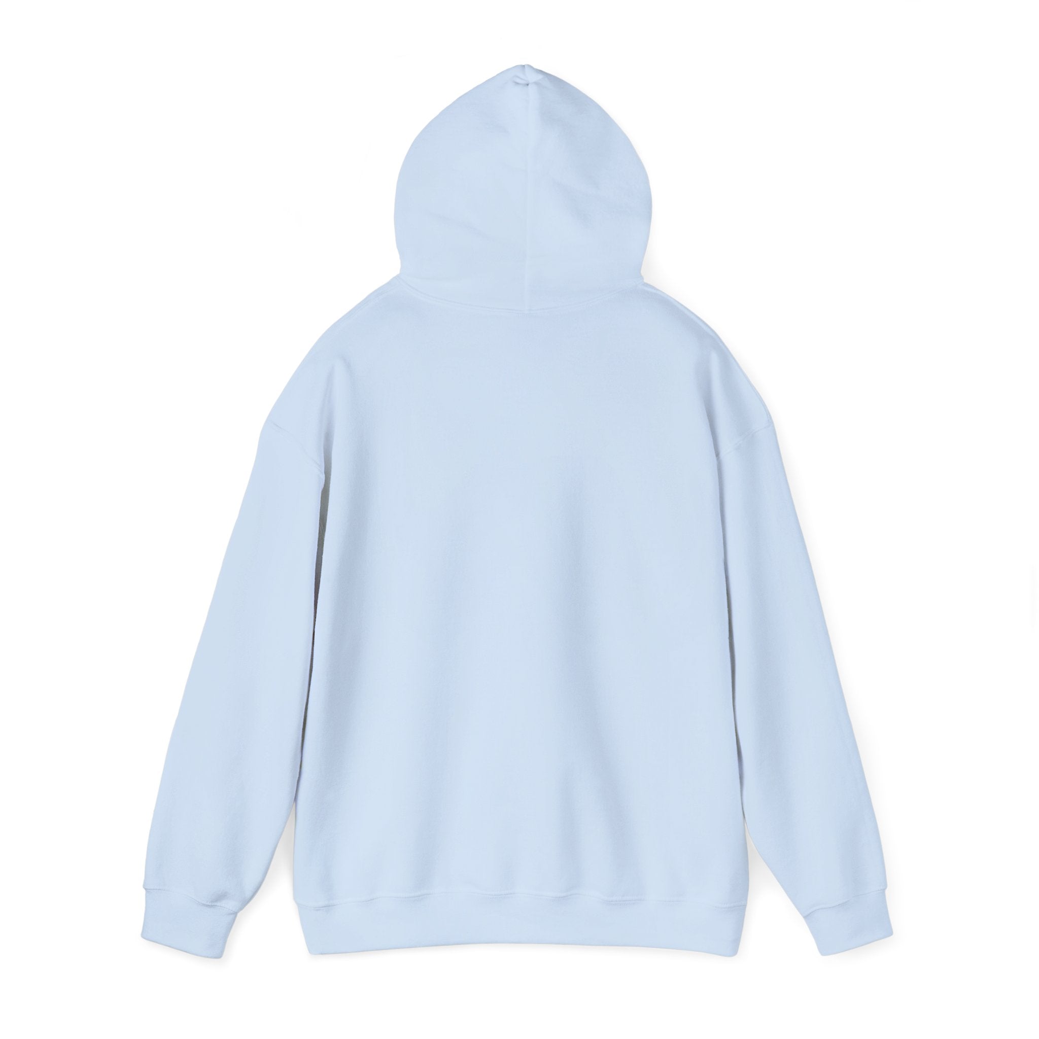Anxiety University Hoodie — 'Anxiety University Honors Program' Graphic Sweatshirt