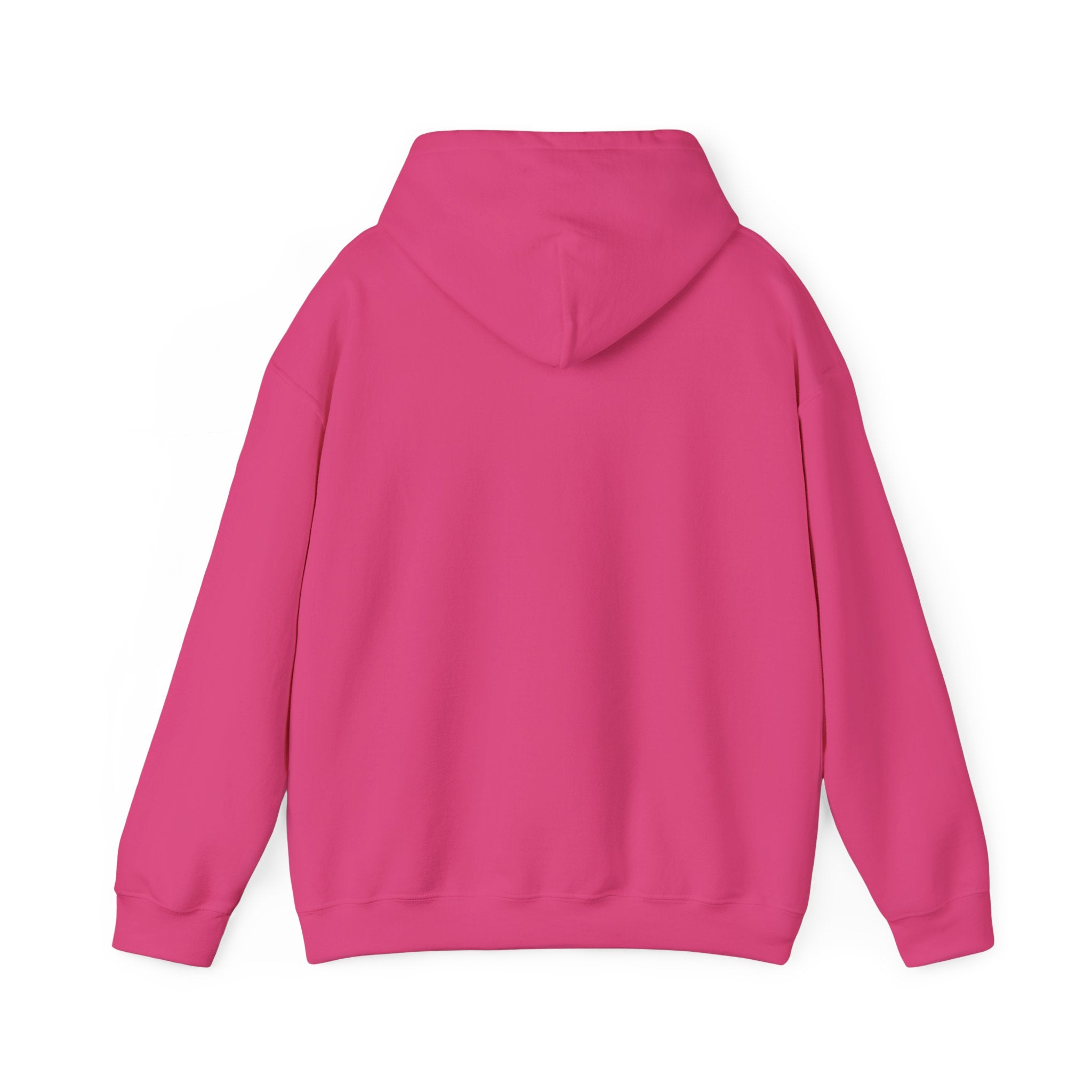 Anxiety University Hoodie — 'Anxiety University Honors Program' Graphic Sweatshirt