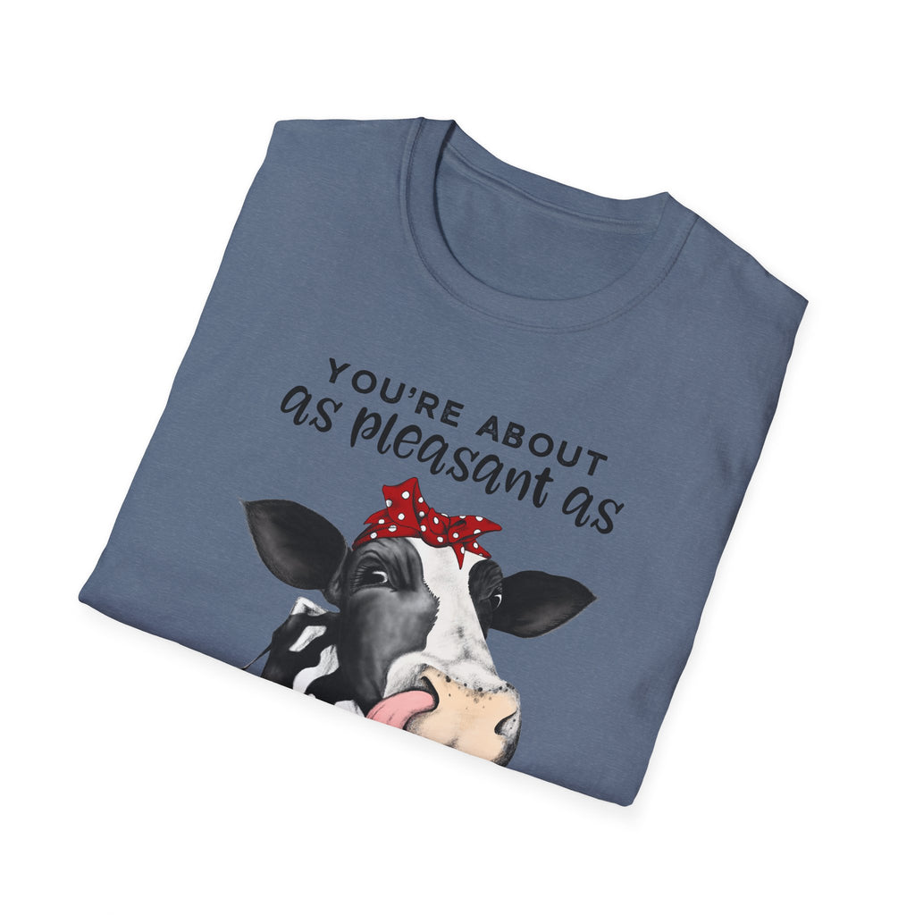 Cow Graphic Tee — "You’re About as Pleasant as an Itchy Butthole" Funny Novelty T‑Shirt