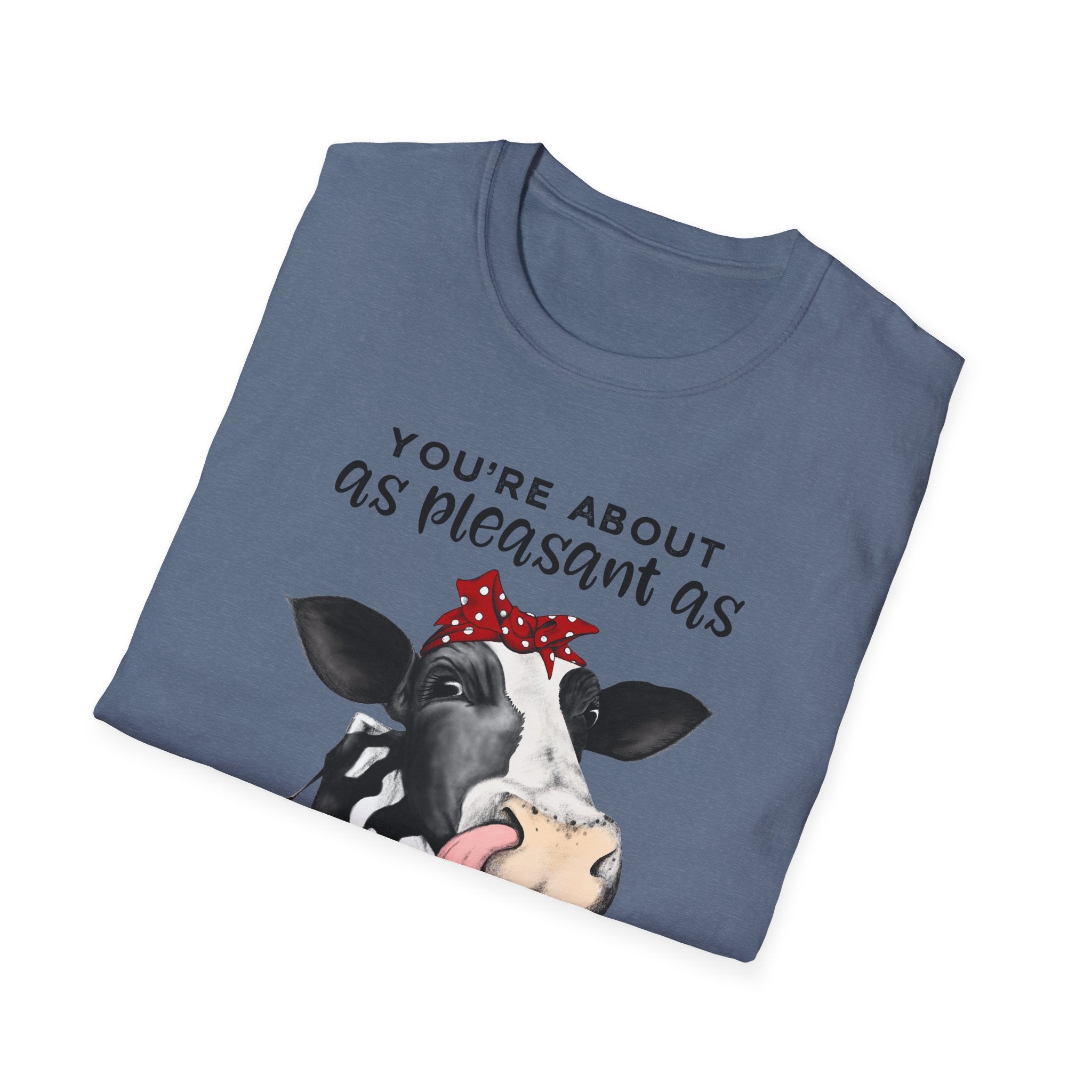 Cow Graphic Tee — "You’re About as Pleasant as an Itchy Butthole" Funny Novelty T‑Shirt