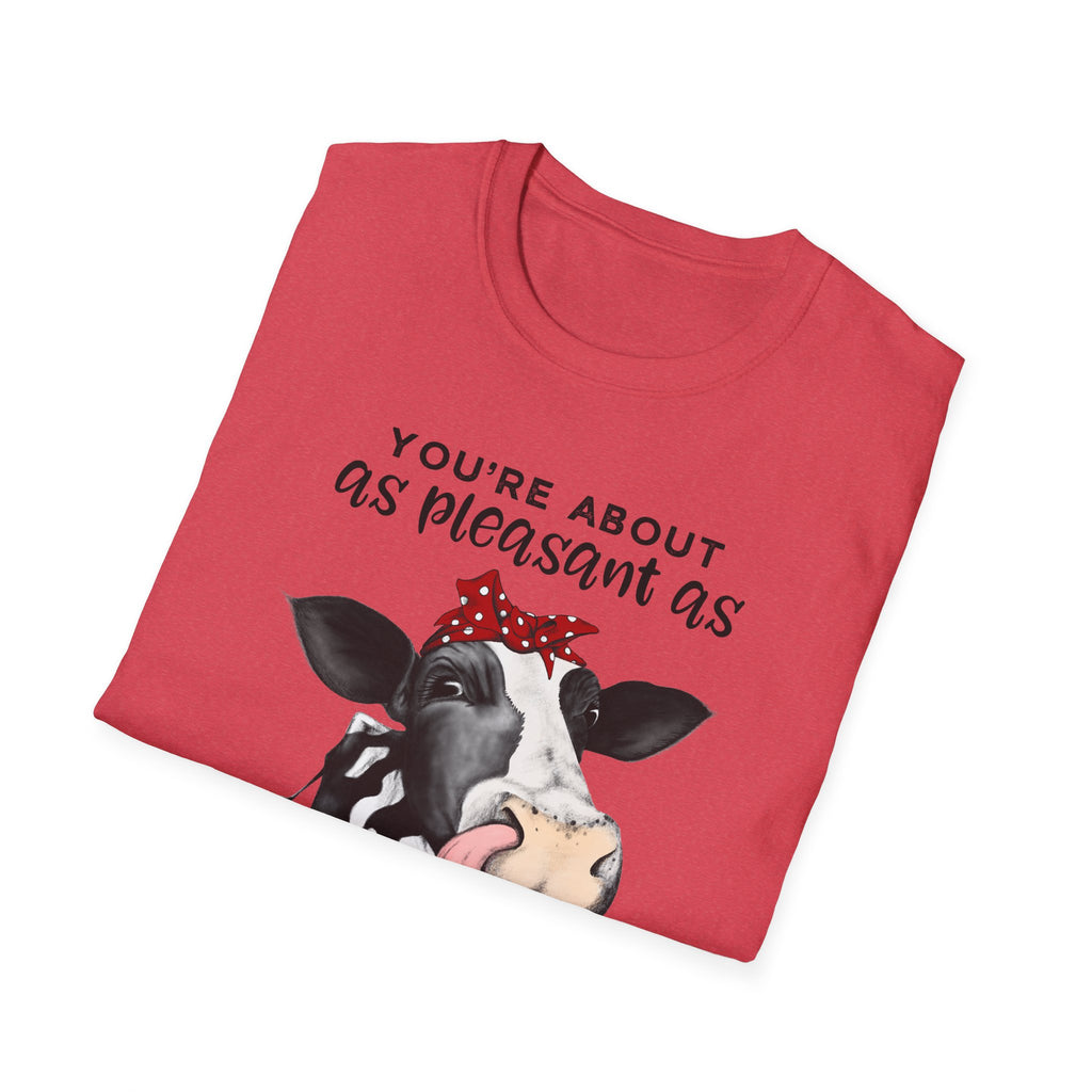 Cow Graphic Tee — "You’re About as Pleasant as an Itchy Butthole" Funny Novelty T‑Shirt