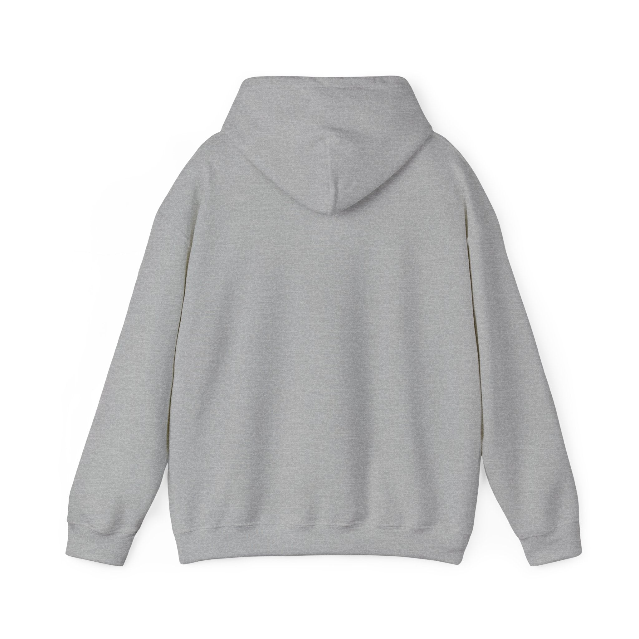 Anxiety University Hoodie — 'Anxiety University Honors Program' Graphic Sweatshirt
