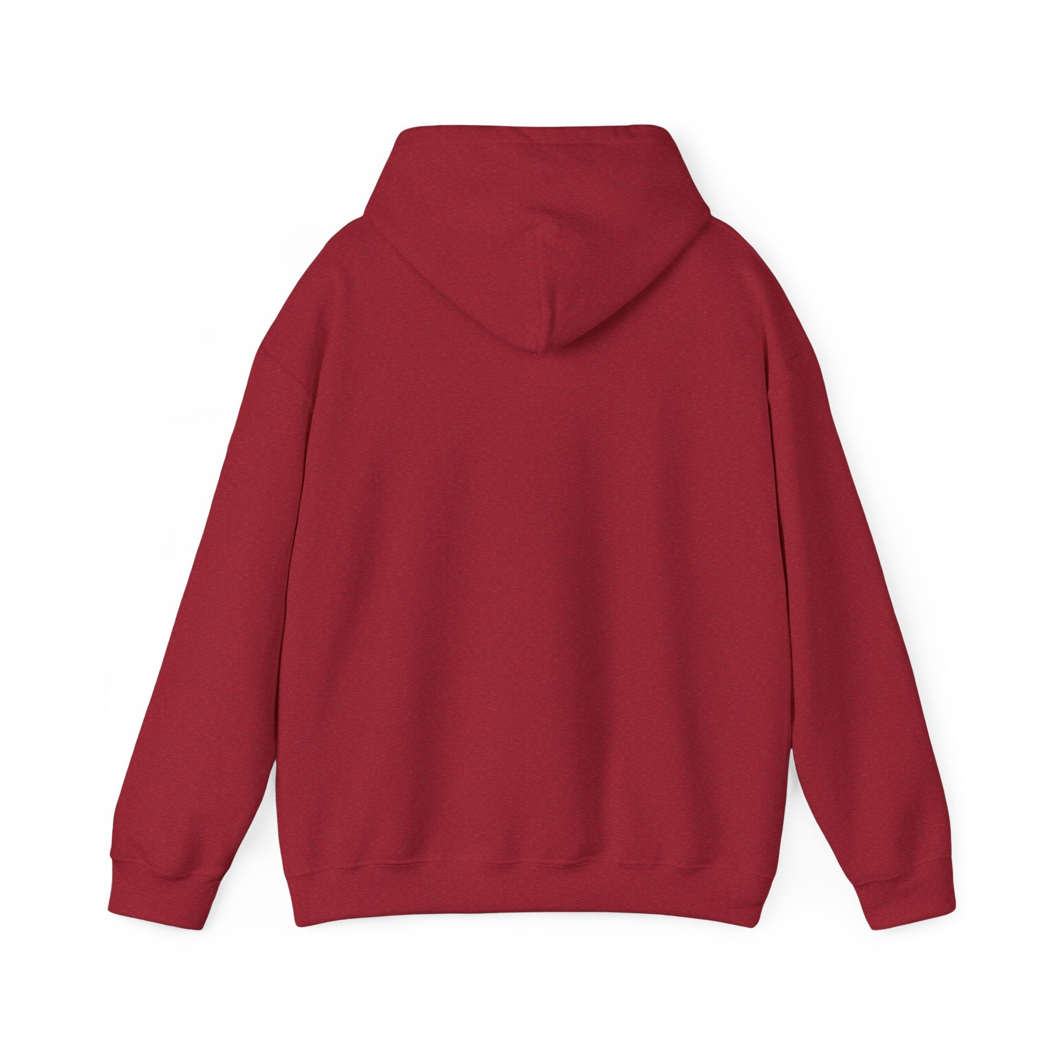 Anxiety University Hoodie — 'Anxiety University Honors Program' Graphic Sweatshirt