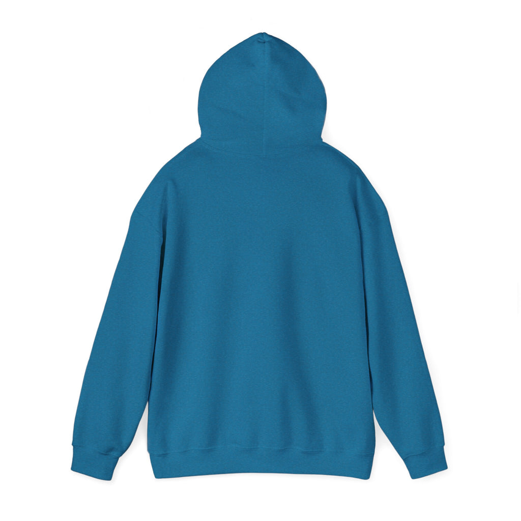 Anxiety University Hoodie — 'Anxiety University Honors Program' Graphic Sweatshirt
