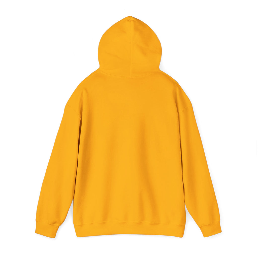 Anxiety University Hoodie — 'Anxiety University Honors Program' Graphic Sweatshirt