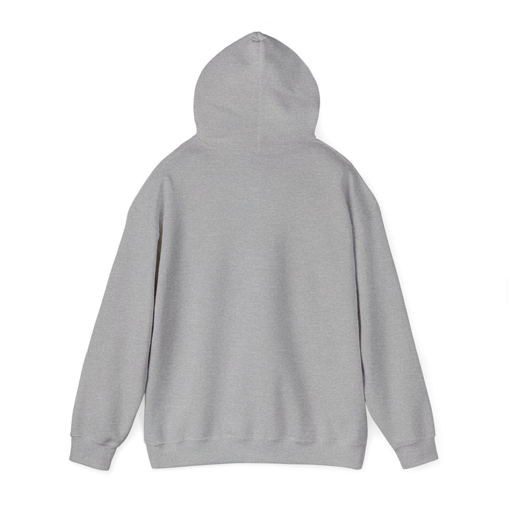 Anxiety University Hoodie — 'Anxiety University Honors Program' Graphic Sweatshirt