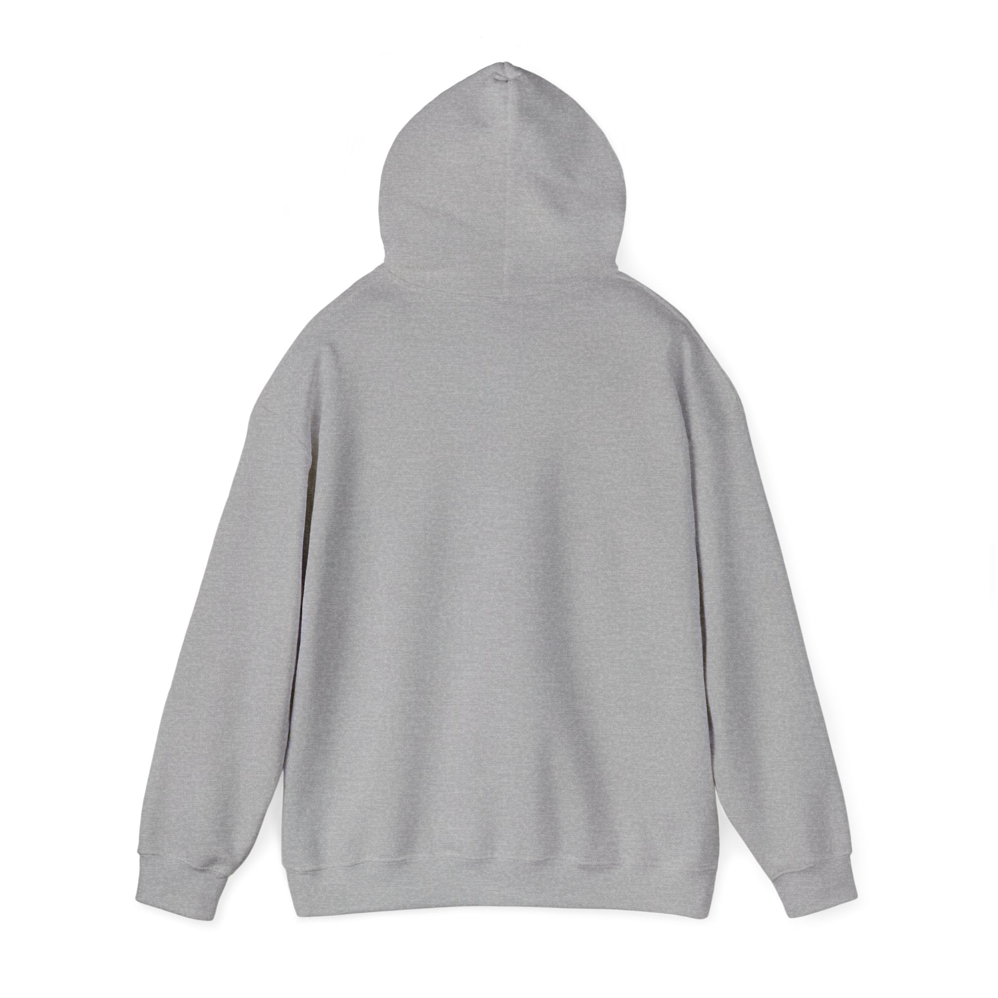 Anxiety University Hoodie — 'Anxiety University Honors Program' Graphic Sweatshirt