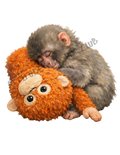 Punch Monkey Sleeping PNG - Instant Digital Download